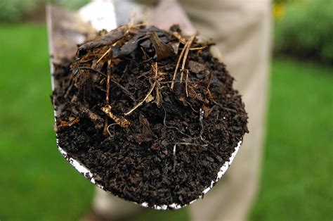 How To Make Compost From Grass Clippings | Storables