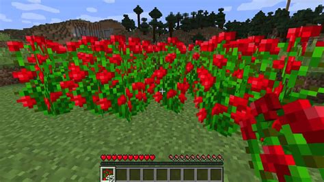 What is a Rose Bush - Minecraft Flowers - YouTube