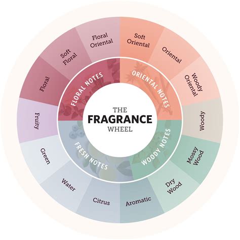 Your Guide to the Fragrance Wheel and Scent Families | Fragrance, Woody ...