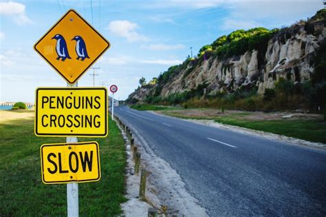 Premium Photo | Penguins crossing sign near blue penguin colony in oamaru, new zealand