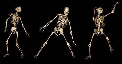 Skeleton Funny Dance, Stock Video - Envato Elements