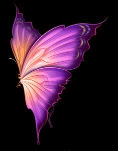 39 Butterflies ideas | beautiful butterflies, butterfly, butterfly art