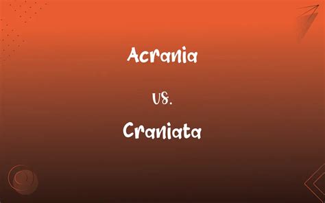 Acrania vs. Craniata