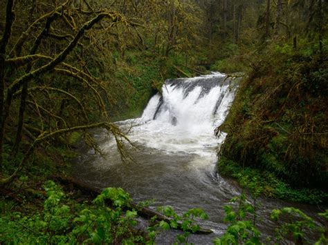 Lower North Falls | Silver Falls State Park | Travel The Food For The Soul