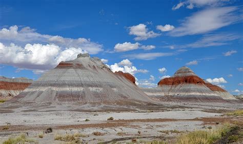 Petrified Forest National Park - Wikipedia