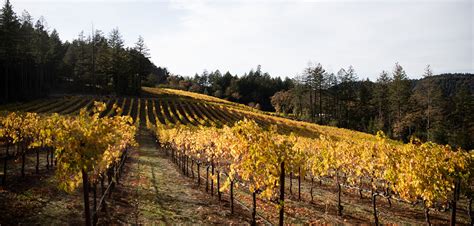 Hopland & Ukiah Wine Country | WineCountry.com