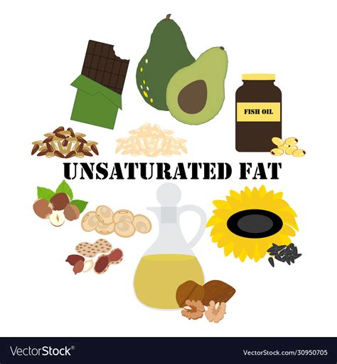 Unsaturated fat nutrient rich food Royalty Free Vector Image