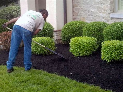 Landscape Installation & Maintenance - Full-Service Care | Wilson's Landscaping