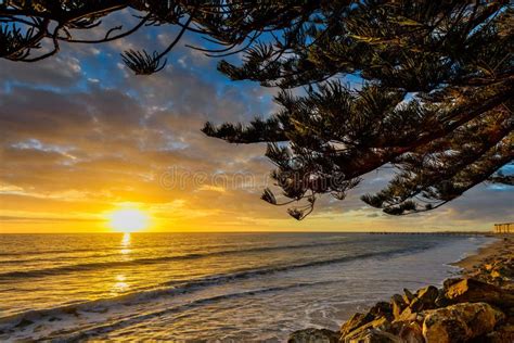 Golden sunset at the beach stock image. Image of background - 48132795