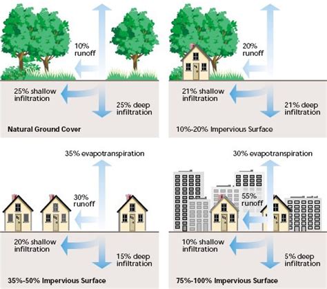 Sustainable Sites (LEED GA Study Guide) Flashcards | Quizlet