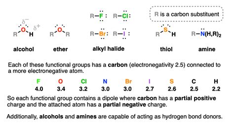 Ester Functional Group Examples