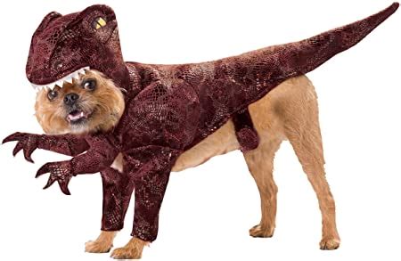 50 Dinosaur Inspired Dog Names and Their Meaning | Our Fit Pets