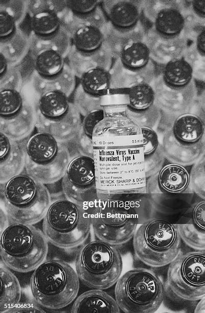 1,653 Swine Flu Vaccine Stock Photos, High-Res Pictures, and Images - Getty Images