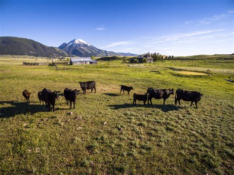 Yellowstone River Ranch - Montana | Fay Ranches