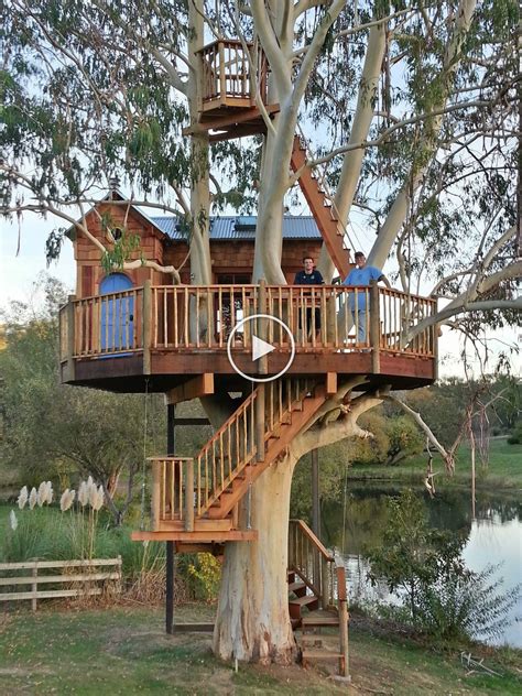 Sonoma county vineyard treehouse | Beautiful tree houses, Tree house ...