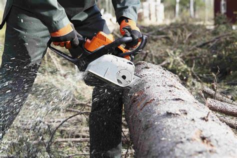 The Best Tree Trimming Tools for Landscaping for 2019