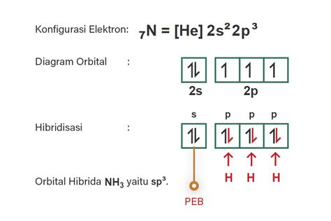 hibridisasi dari h2o nh3 dan ch4...