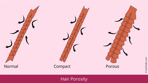 Hair Porosity and how to determine or measure the porosity of your hair