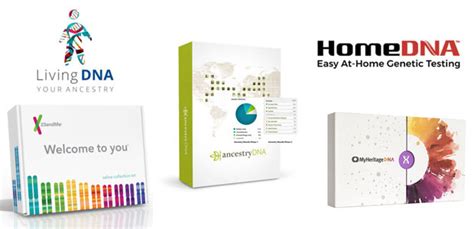 Top 5 Best Ancestry DNA Test Kits - DNA Testing Reviews & Discounts