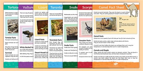 Desert Animals | Teaching Wiki - Twinkl