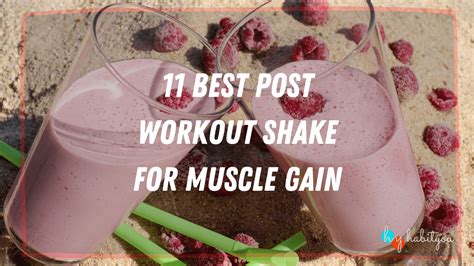 11 best Post Workout Shake for Muscle Gain - HabitYou | Habit Tracker ...