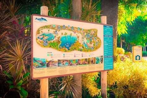 Discovery Cove: Complete Guide and Overview | Orlando Informer