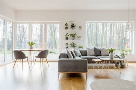 6 interior plants for a minimalist home