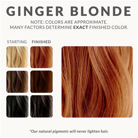 Ginger Blonde Henna Hair Dye – Henna Color Lab® – Henna Hair Dye