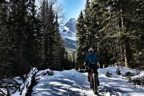 10 of the best winter activities to do in Alberta, Canada | London Evening Standard