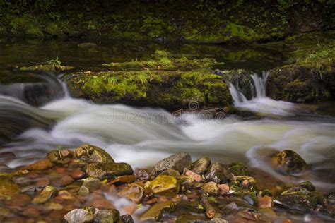 The River Tawe on the Brecon Beacons Stock Photo - Image of tawe, water ...