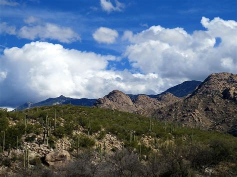 Hiking In Catalina State Park: Tucson, AZ | Raven and Chickadee