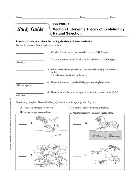 adaptation worksheet 2 darwin