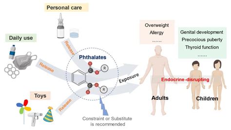 MDPI 2021年5月18日 フタル酸エステル類とそれらの人の健康への影響