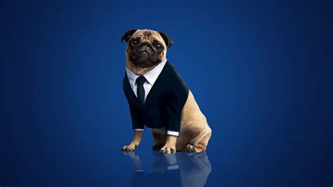 4K, men in black international, frank the pug, dog, simple background ...