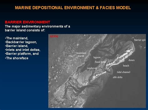 6 MARINE SEDIMENTATION FACIES DEPOSITIONAL ENVIRONMENT Definition Physical