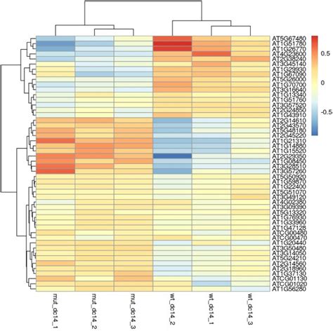 DESeq2 - variable genes · transcriptomics