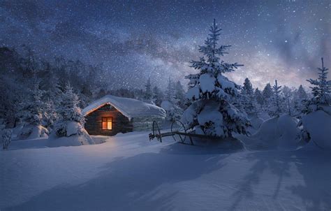 Snowy Forest at Night Wallpapers - Top Free Snowy Forest at Night ...