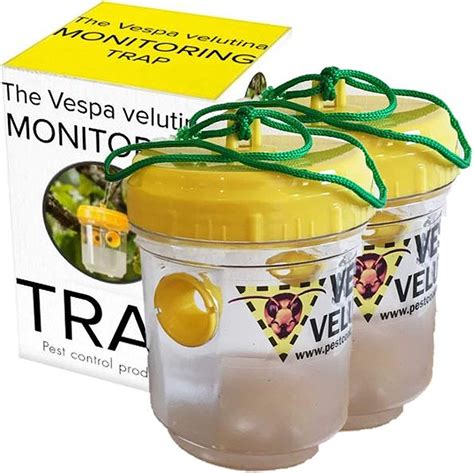 PCP, The Vespa Velutina monitoring trap - Asian hornet trap 2 x traps: Amazon.co.uk: Garden ...