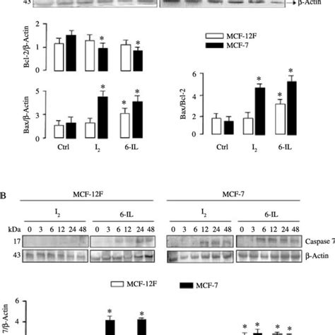 Apoptotic BAX/caspases pathway activation. (A) Expression of BCL2... | Download Scientific Diagram