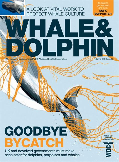 WDC Whale and Dolphin Spring 2021 by Think Publishing - Issuu