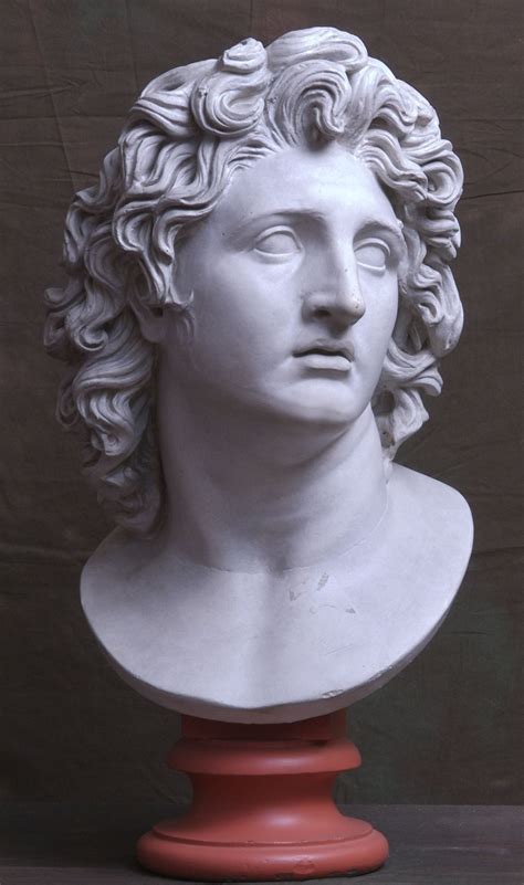 Head of Alexander "Helios" | Museum of Classical Archaeology Databases | Alexander the great ...