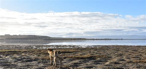 Best places to stay in El Calafate, Argentina | The Hotel Guru