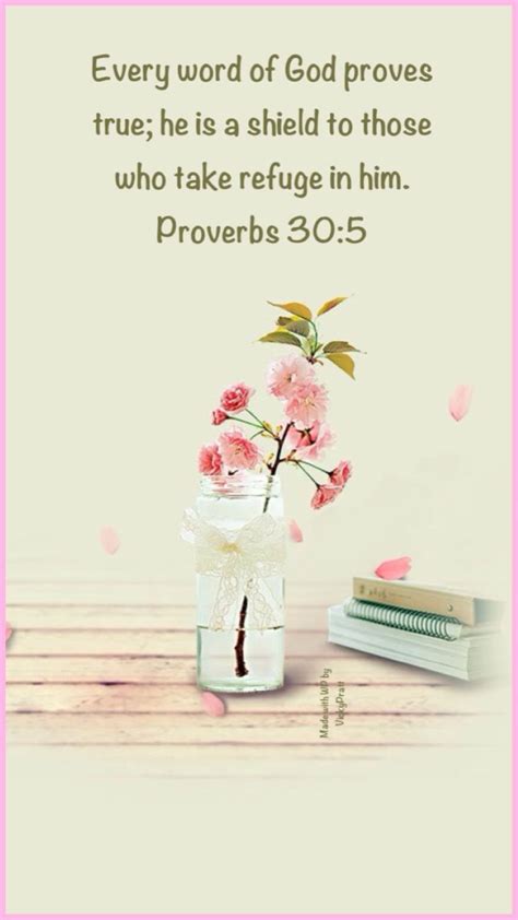 Pin on The Wisdom of Proverbs