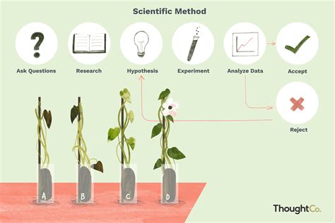 6 Steps of the Scientific Method