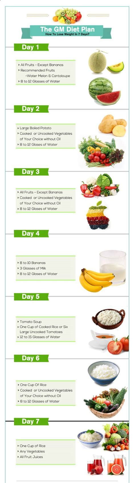 Printable Gm Diet Plan - PrintableDietPlan.com