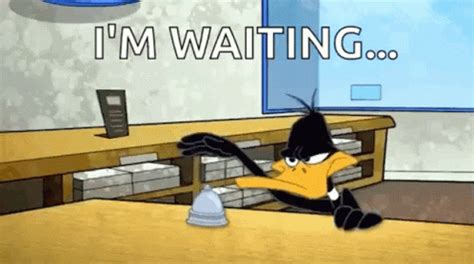 Looney Tunes Im Waiting GIF - Looney Tunes Im Waiting Daffy Duck - Tumuklas at Magbahagi ng mga GIF