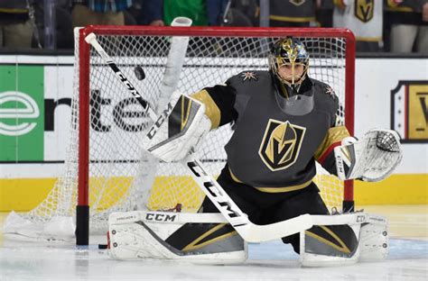 I Love Goalies!: Marc-Andre Fleury 2018-19 Mask