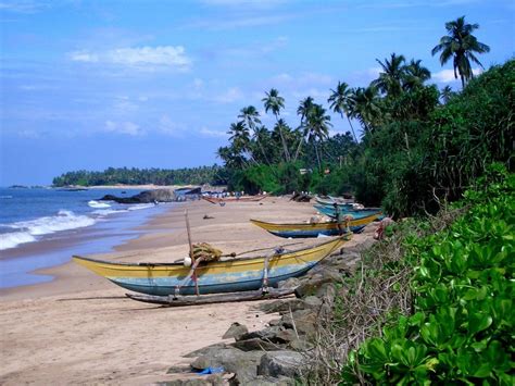 Beach Near Ambalangoda | Beach village, Sri lanka, Beach