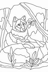 Wolves coloring pages for Adults  Online Or Printable sketch template