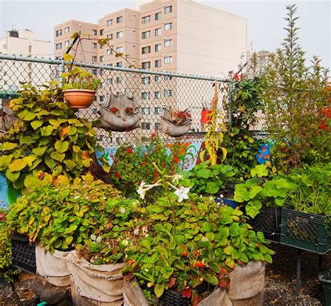 Why You Should or Shouldn’t Consider a Rooftop Garden | Able Roof